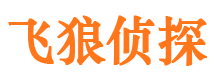 九龙坡市侦探公司